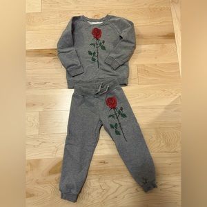 Mini rodini 2/3 rose 🌹 set!